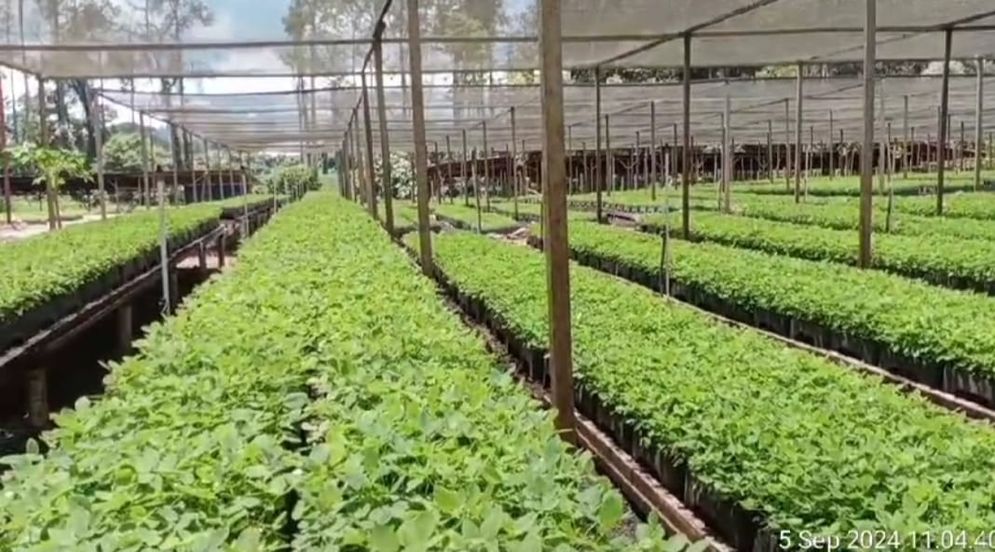 IGL dan BTL Selalu Patuhi Regulasi dan Kelestarian Lingkungan, Ini Buktinya