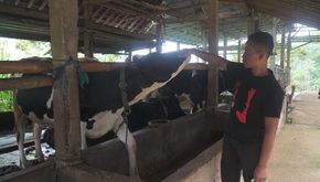 Kolaborasi BRI dan Klaster Susu Ponorogo Dorong Pertumbuhan Industri Lokal