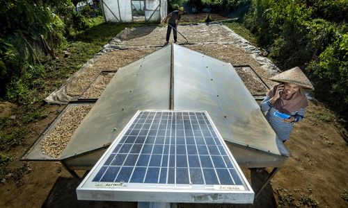 Wujud Komitmen World-Class Sustainable Banking Group, BRI Proaktif Kontribusi terhadap SDGs