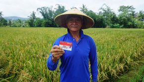 Dengan 3 Cabang, AgenBRILink Ini Hadirkan Solusi Keuangan bagi Komunitas Petani