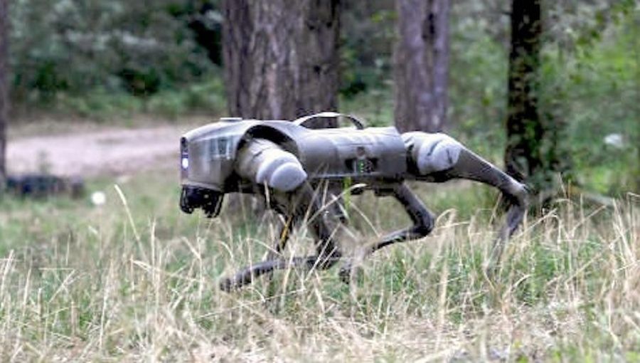 robot anjing ukraina.jpg