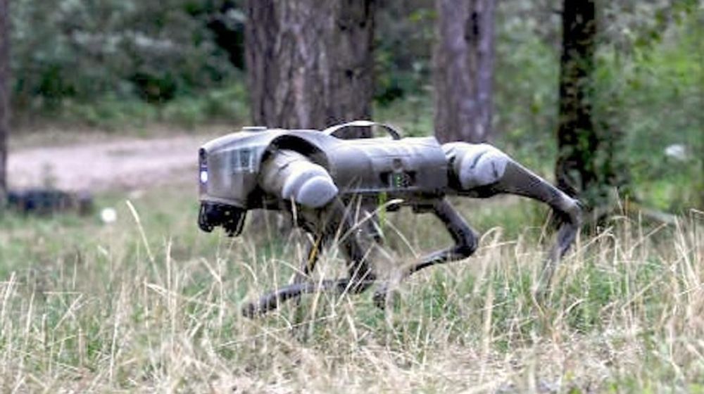robot anjing ukraina.jpg