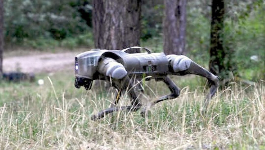 robot anjing ukraina.jpg