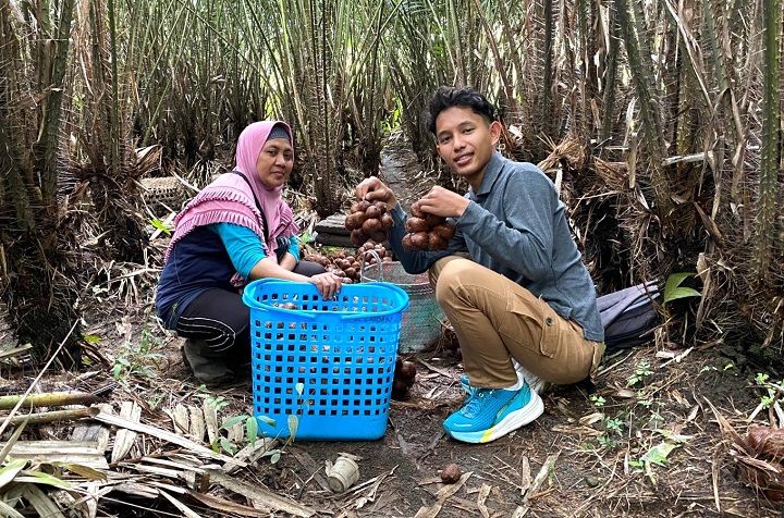 SEBI UMY Kembangkan Pertanian Salak Terpadu di Magelang
