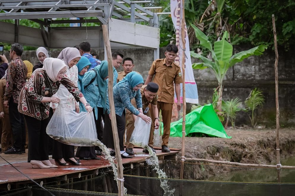 Ikan 