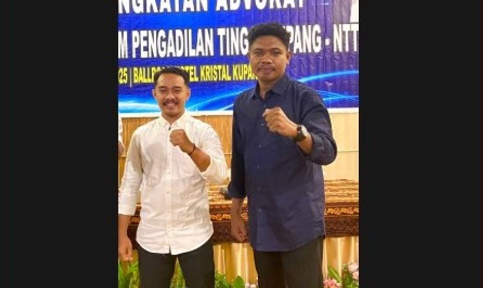 advikat.jpg