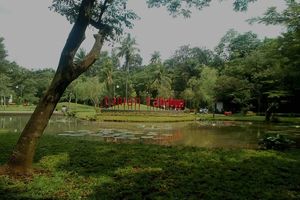 Taman Tabebuya, Jakarta.