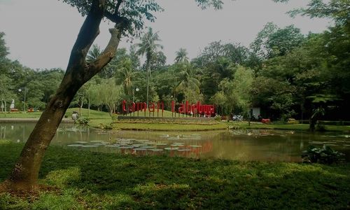 Taman Tabebuya, Jakarta.