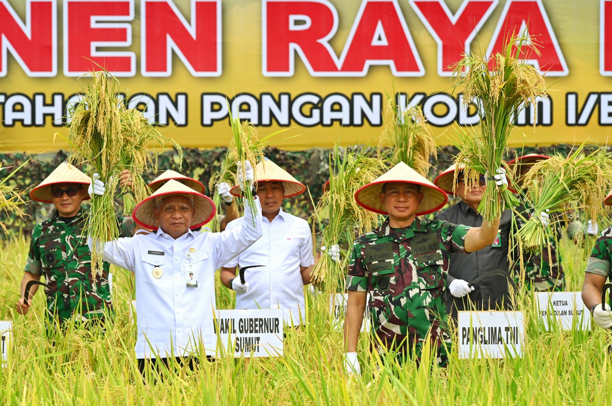 Wakil Gubernur Sumut Surya bersama Panglima TNI Jenderal Agus Subiyanto panen raya di lahan Ketahanan Pangan Kodam I/BB di Desa Perkebunan Ramunia, Kecamatan Pantai Labu, Deliserdang
