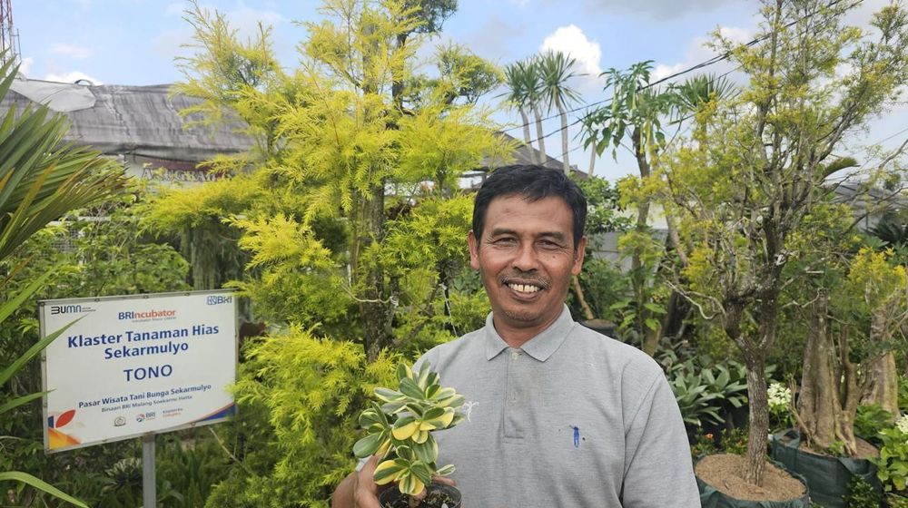 Mampu Jadi Sumber Mata Pencaharian Warga, Ini Kisah Klaster Usaha Tanaman Hias Binaan BRI 