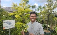 Mampu Jadi Sumber Mata Pencaharian Warga, Ini Kisah Klaster Usaha Tanaman Hias Binaan BRI 