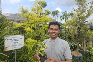 Mampu Jadi Sumber Mata Pencaharian Warga, Ini Kisah Klaster Usaha Tanaman Hias Binaan BRI