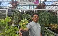 Bantu Tingkatkan Kesejahteraan, Klaster Tanaman Hias BRI Jadi Andalan Komunitas Lokal