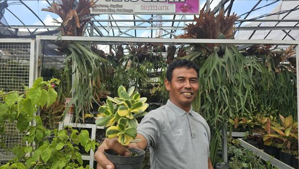 Berdayakan Warga Lewat Tanaman Hias, Klaster Usaha BRI Sukses Jadi Inspirasi