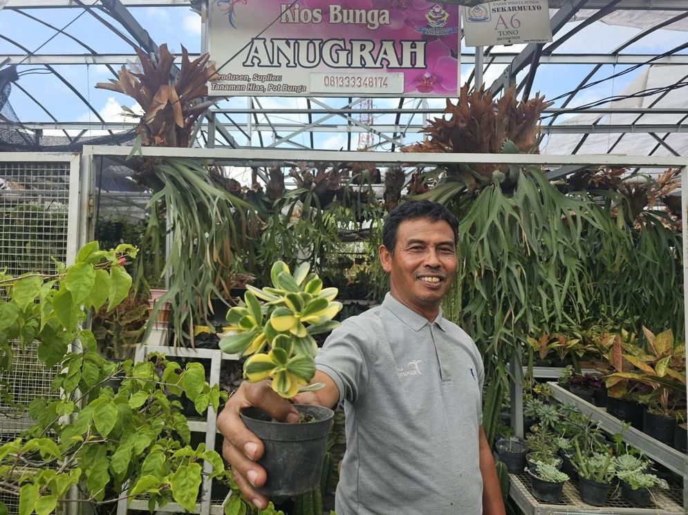Bantu Tingkatkan Kesejahteraan, Klaster Tanaman Hias BRI Jadi Andalan Komunitas Lokal
