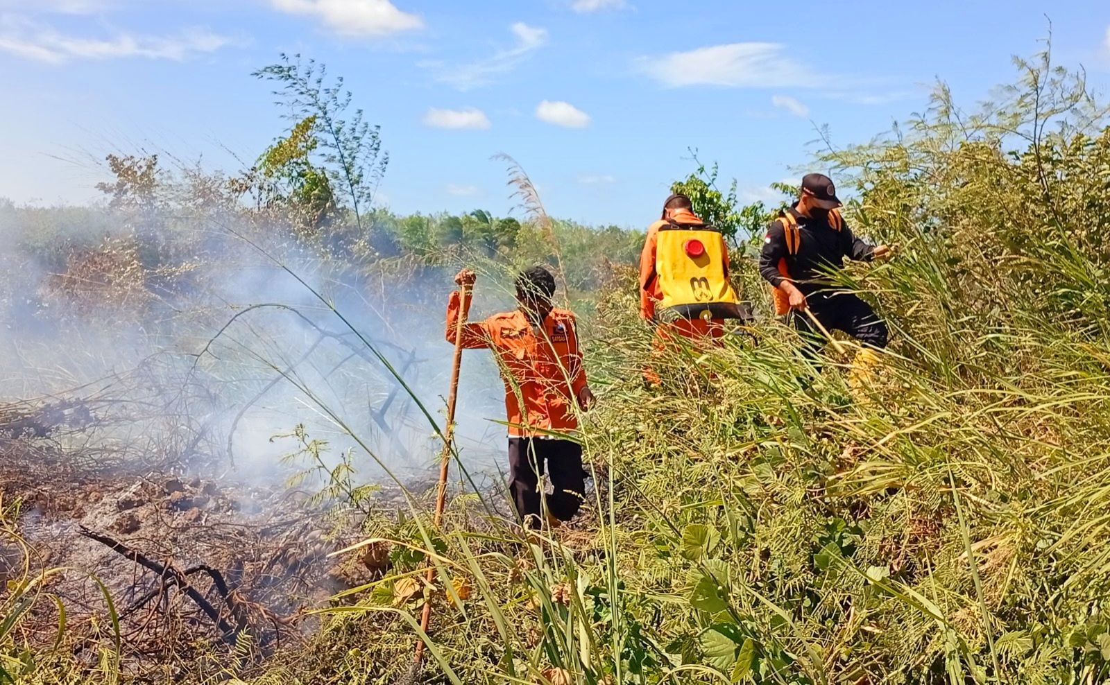 Karhutla melanda wilayah Kabupaten Padanglawas Utara, Sumut pada Kamis (10/7/2025)