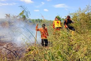  Karhutla melanda wilayah Kabupaten Padanglawas Utara, Sumut pada Kamis (10/7/2025)