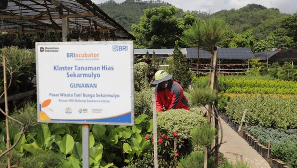 BRI Kembangkan UMKM dengan Pemberdayaan Klaster Usaha di Seluruh Indonesia