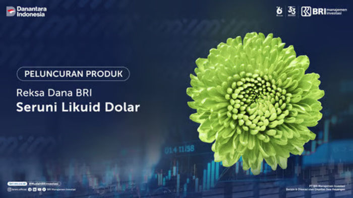 Reksa Dana Pasar Uang BRI Seruni Likuid Dolar (BSLD)