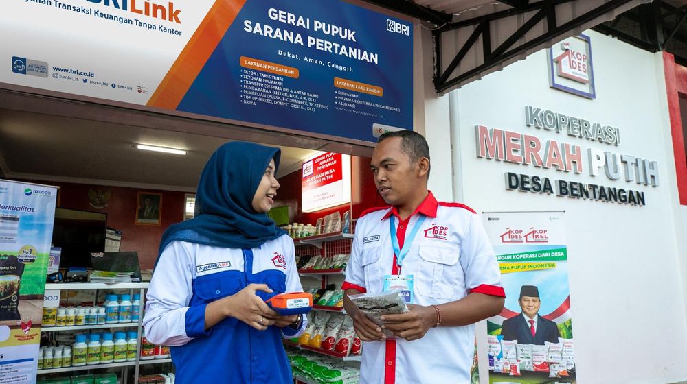 WhatsApp Image 2025-07-22 at 20.16.54.jpeg