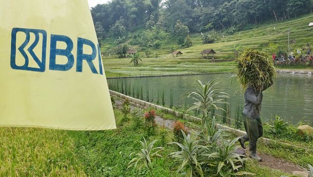 Petani Dapat Angin Segar dari KUR BRI