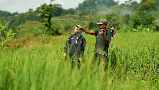 KUR Rp83 Triliun BRI, Petani Jadi Fokus Utama