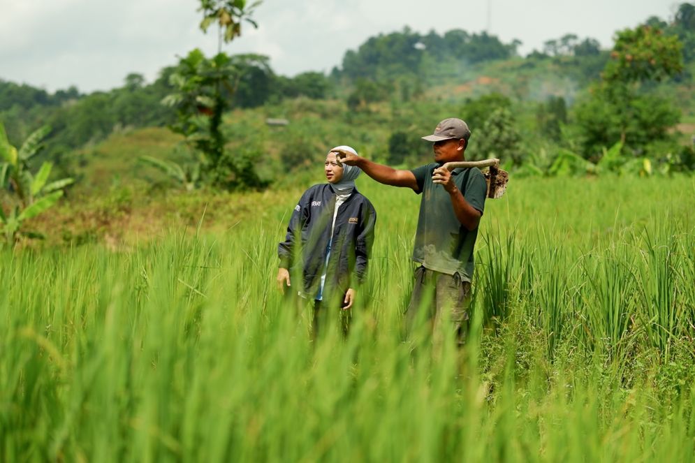 KUR Rp83 Triliun BRI, Petani Jadi Fokus Utama