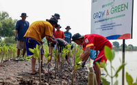 BRI Rayakan Hari Mangrove Sedunia dengan Aksi Nyata Jaga Ekosistem Pesisir