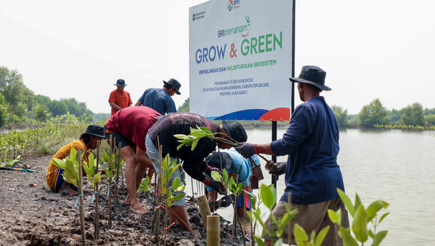 Aksi Nyata BRI Pulihkan Pesisir di Hari Mangrove Sedunia