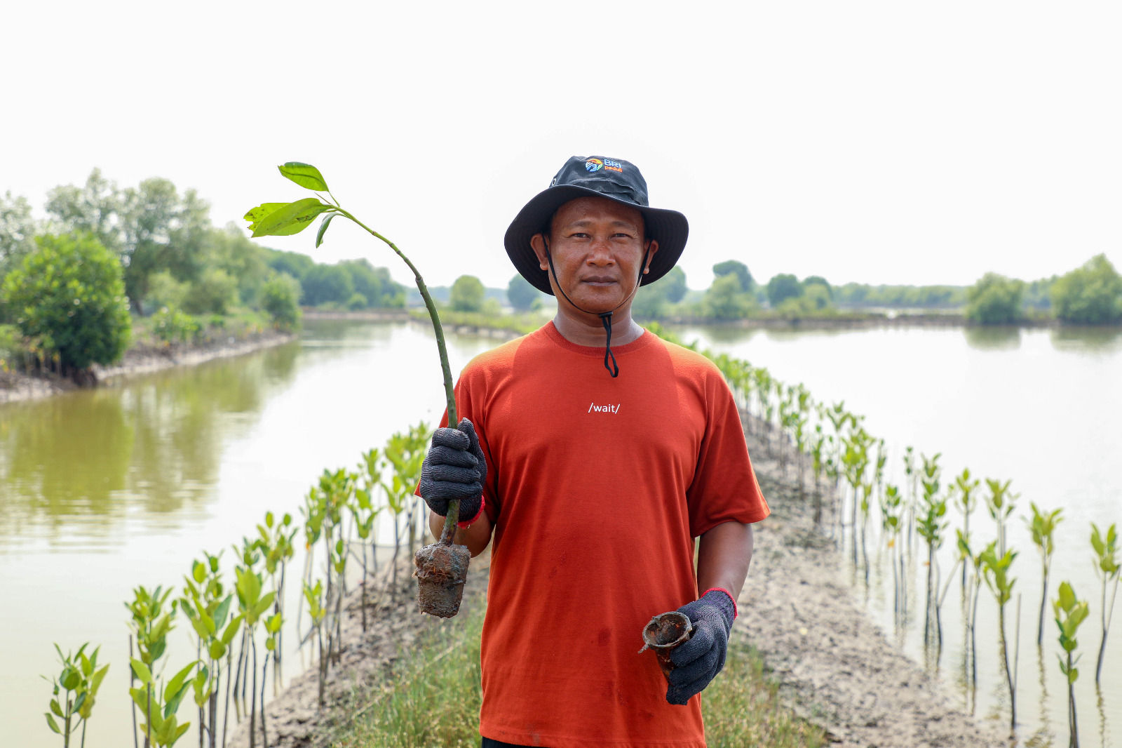 BRI Wujudkan Ekosistem Pesisir Lebih Baik Lewat Program Mangrove
