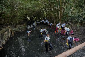 Hari Sungai Nasional, BRI Ajak Bersih-bersih Sungai