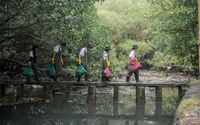 Aksi BRI di Hari Sungai Nasional: Bersihkan Sungai Demi Jaga Kehidupan