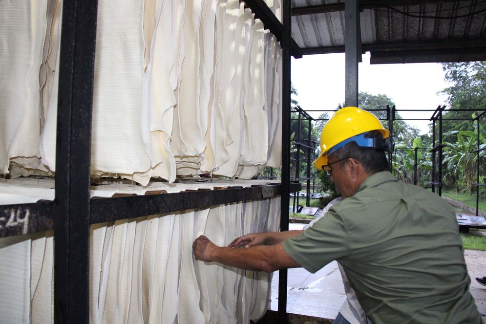 Di tengah fluktuasi harga karet dunia, peluang bisnis komoditi karet milik PTPN I masih sangat prospektif. Pernyataan itu disampaikan Direktur Utama PTPN I Teddy Yunirman Danas di Jakarta, Senin (29/7/2025).