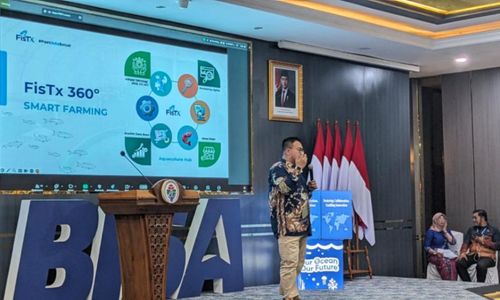 WhatsApp Image 2025-07-29 at 14.44.46.jpeg