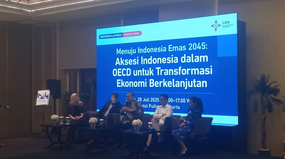 WhatsApp Image 2025-07-29 at 20.23.27 (1).jpeg