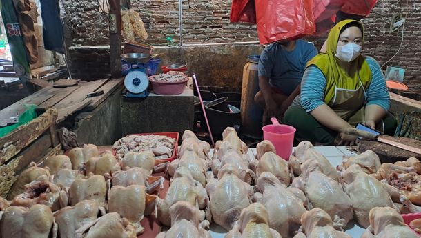Harga Sembako Mulai Stabil, Harga Ayam Potong Turun