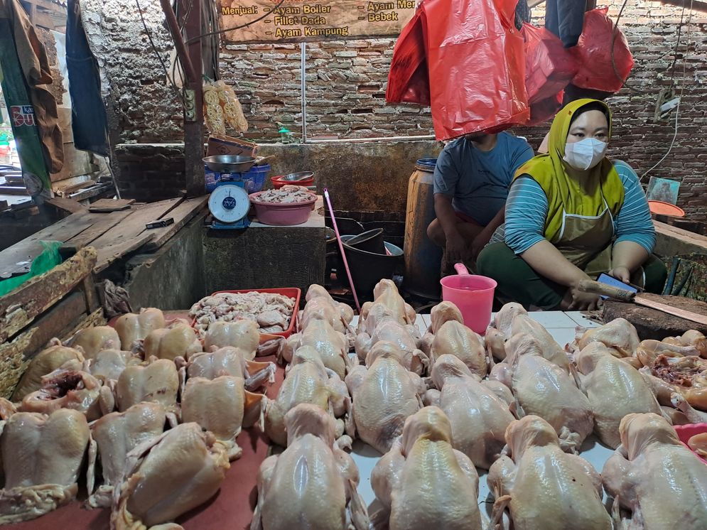 Ilustasi pedagang ayam potong di Pasar Way Dadi