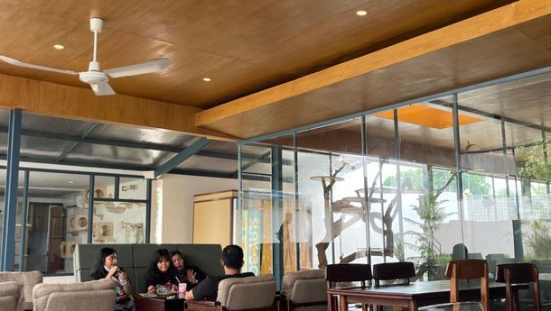 House of Metta, Kafe Unik Bisa Ngopi sambil Main dengan Kucing