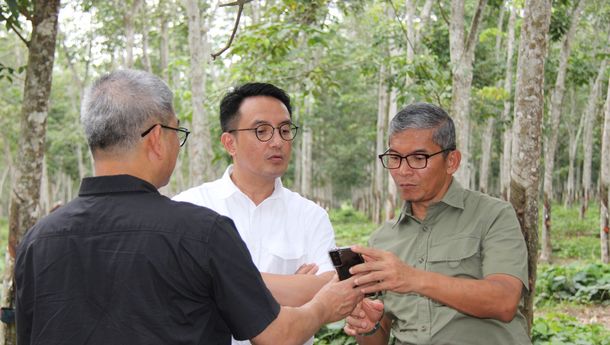 Harga Karet Dunia Menguat, PTPN I Siapkan Langkah Strategis untuk Maksimalkan Keuntungan