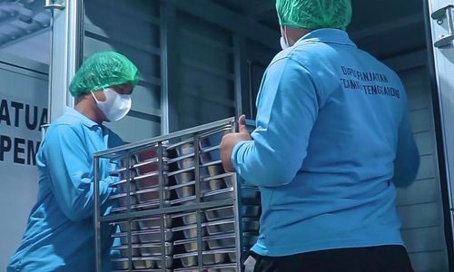 UMKM Asal Sulawesi Utara Ini Berhasil Jadi Pemasok Program MBG dengan Dukungan Pembiayaan BRI