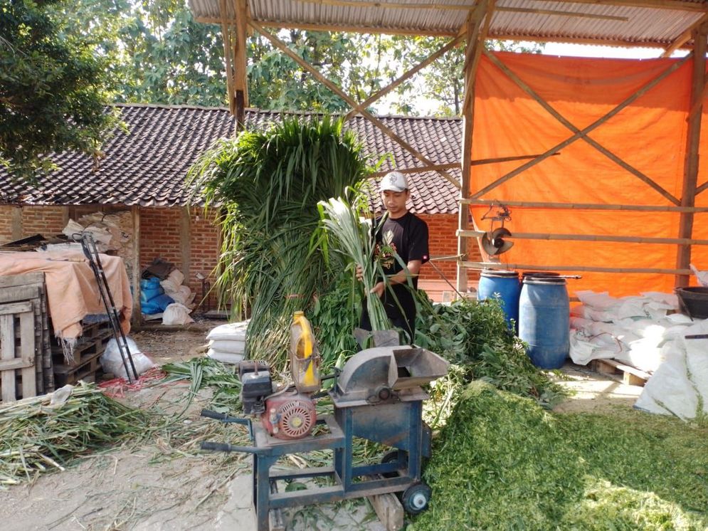 Pengusaha Pakan Ternak Ponorogo Ini Sukses Kembangkan Usaha Berkat KUR BRI