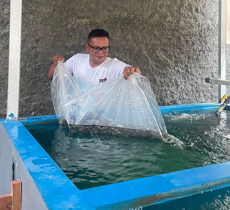 Kepala Sub Seksi Bimbingan Kerja Rutan Kelas IIA Manado, Wahyono melakukan penebaran bibit ikan nila di kolam pembudidayaan. (Foto:Istimewa)