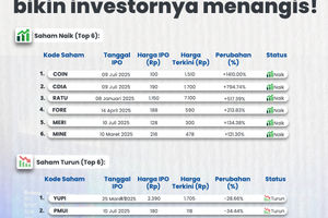 IPO 2025 Penuh Drama.jpg