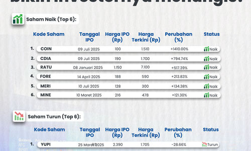 IPO 2025 Penuh Drama.jpg