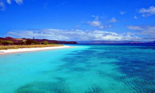Jernihnya air berwarna biru di Pulau Padar.