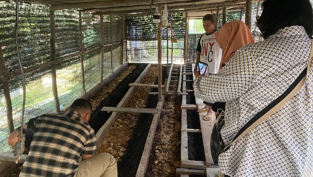 Ciptakan Ekonomi Sirkular Lewat Cacing, PLN NP Bantu Warga Berdaya