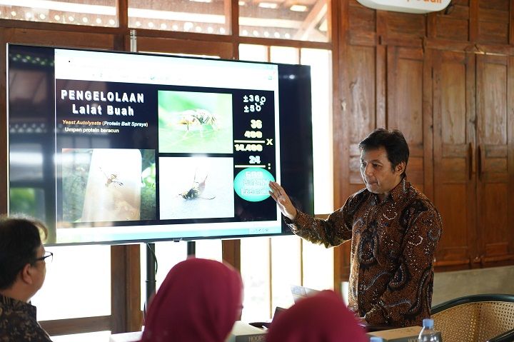 UGM dan BRIN Manfaatkan Teknologi Nuklir untuk Pengendalian Lalat Buah