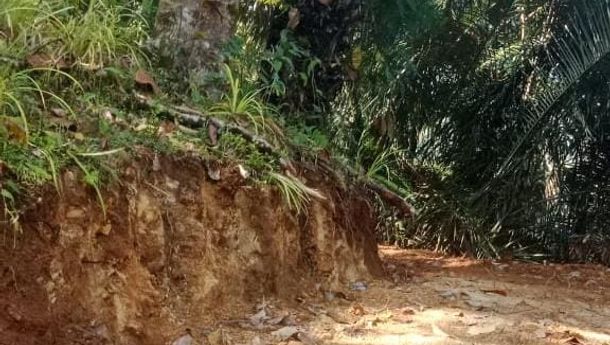 Proyek Air Minum Rp 8,9 Miliar di Desa Rokap Rusak Kebun Warga, Kontraktor: 'Jangan Dimediakan!'