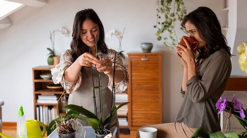 Sustainable Living, ilustrasi dua orang wanita sedang mendekorasi rumah dengan tanaman anggrek.