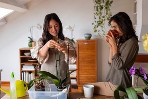 Sustainable Living, ilustrasi dua orang wanita sedang mendekorasi rumah dengan tanaman anggrek.